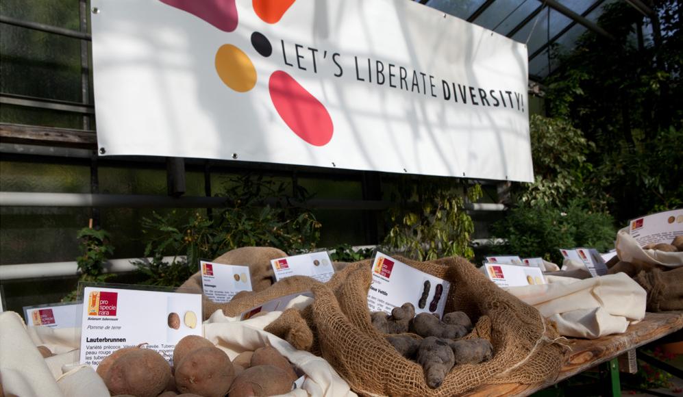 Kartoffelvielfalt am Europäischen Forum «Let’s liberate diversity» in Basel