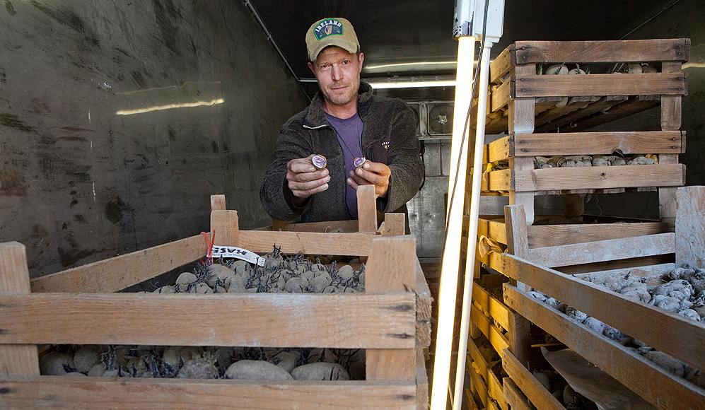 Marcel Heinrich, Pionier im biologischen Bergkartoffelanbau, setzt auf ProSpecieRara-Sorten.