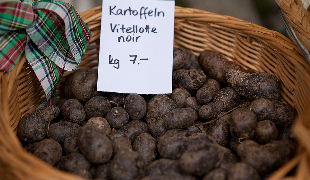 Die 'Vitelotte noire' ist unter Gourmets als «Trüffelkartoffel» bekannt und behält die blaue Farbe beim Kochen.