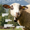 rara 2_2019